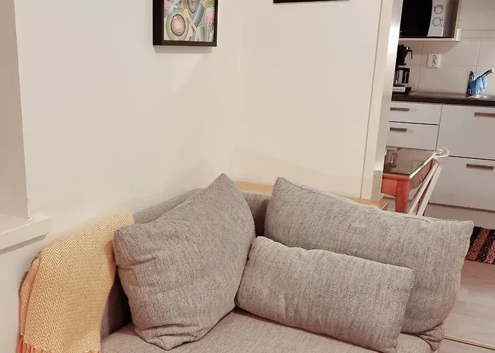 Studio Porin Karhu, Home Away Home In Pori City Center, Free Parking